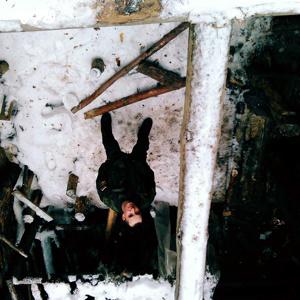 winchester1993