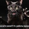 Лика