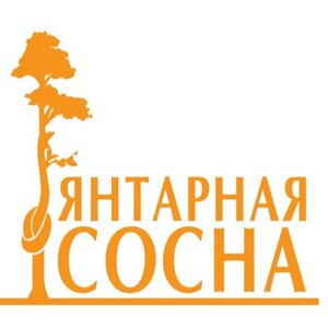 Янтарная сосна