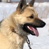 Кристина