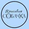 Красивая собачка