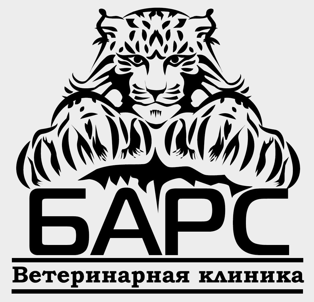 Барс проект ооо