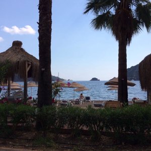 Планета 360