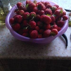 Анастасия Казакова