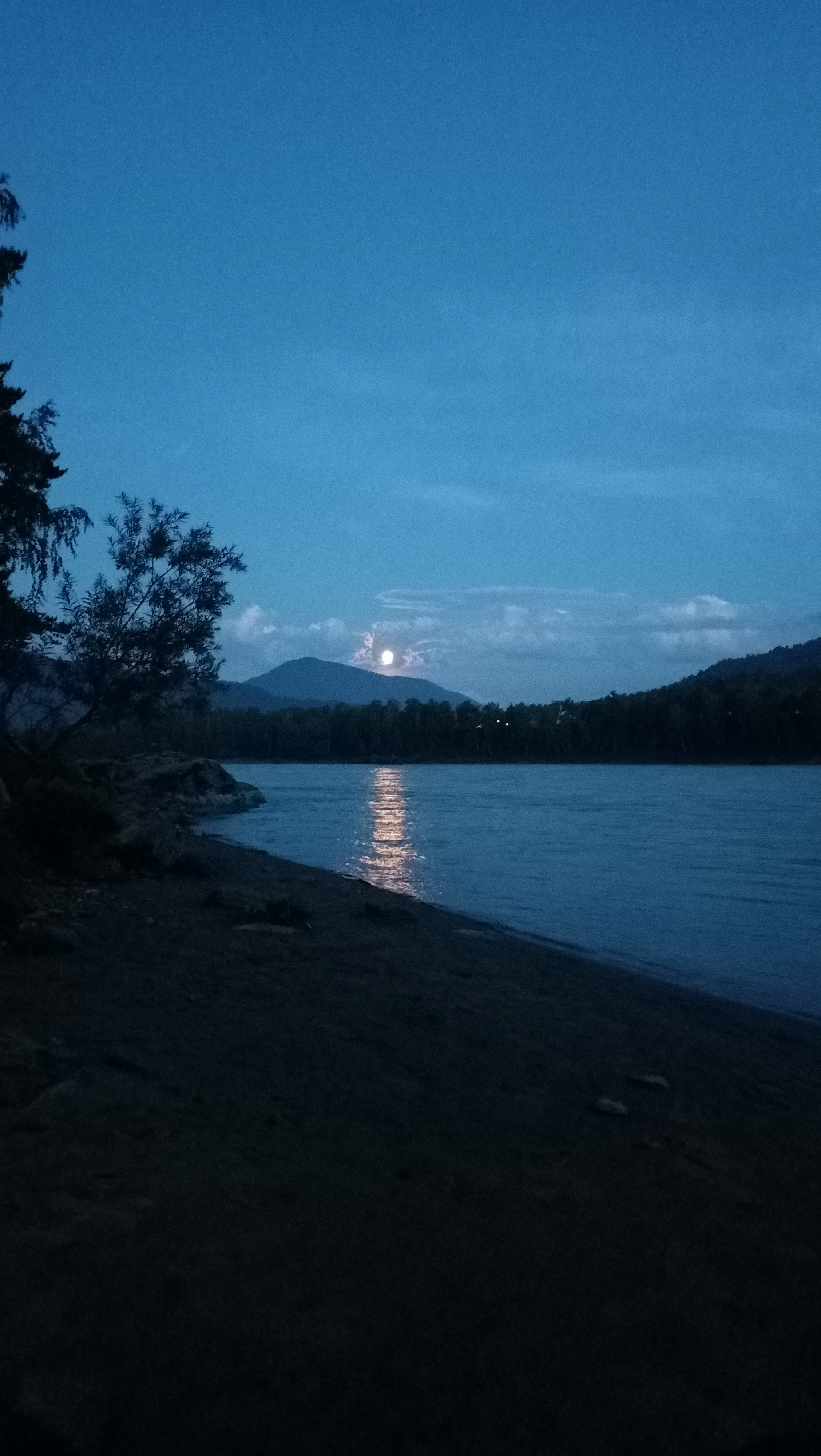 Со скамейки не было видно берега и оттого