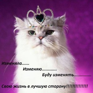 Ксюша Кошелева