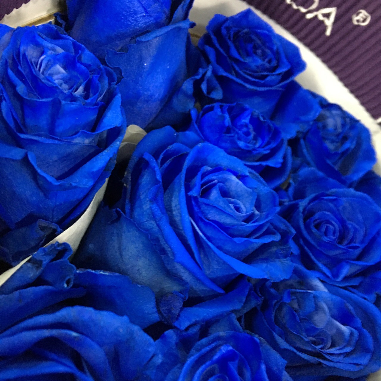 Синие розы для Ирины