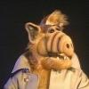 ALF (Alien Life Form)