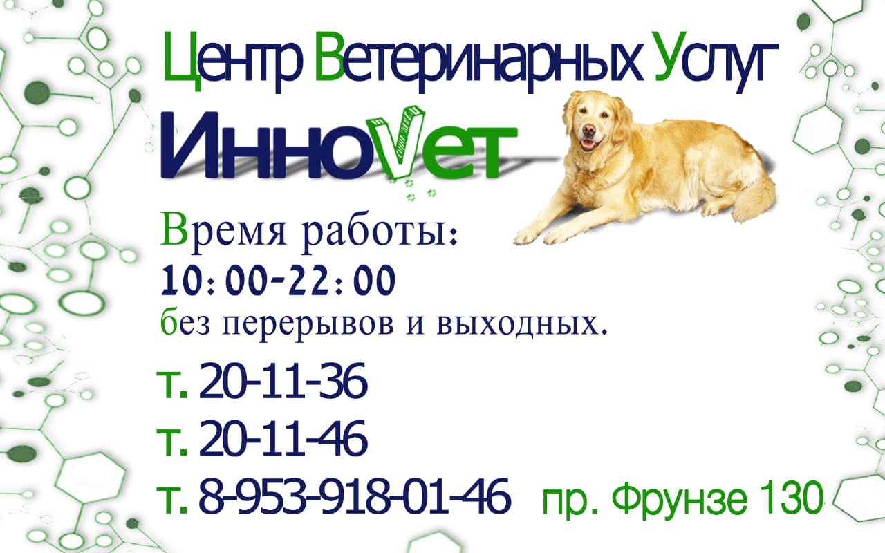 ИнноВет, центр ветеринарных услуг в Томске на Чкалова, 18 — отзывы, адрес,  телефон, фото — Фламп