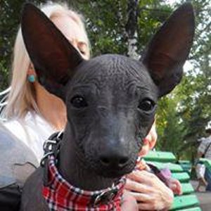 Natasha Neverova