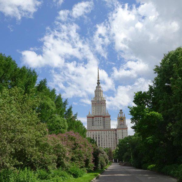 Ботанический сад мгу на воробьевых горах фото