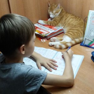 Ксенья