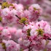 какие рынки есть в красноярске. Смотреть фото какие рынки есть в красноярске. Смотреть картинку какие рынки есть в красноярске. Картинка про какие рынки есть в красноярске. Фото какие рынки есть в красноярске
