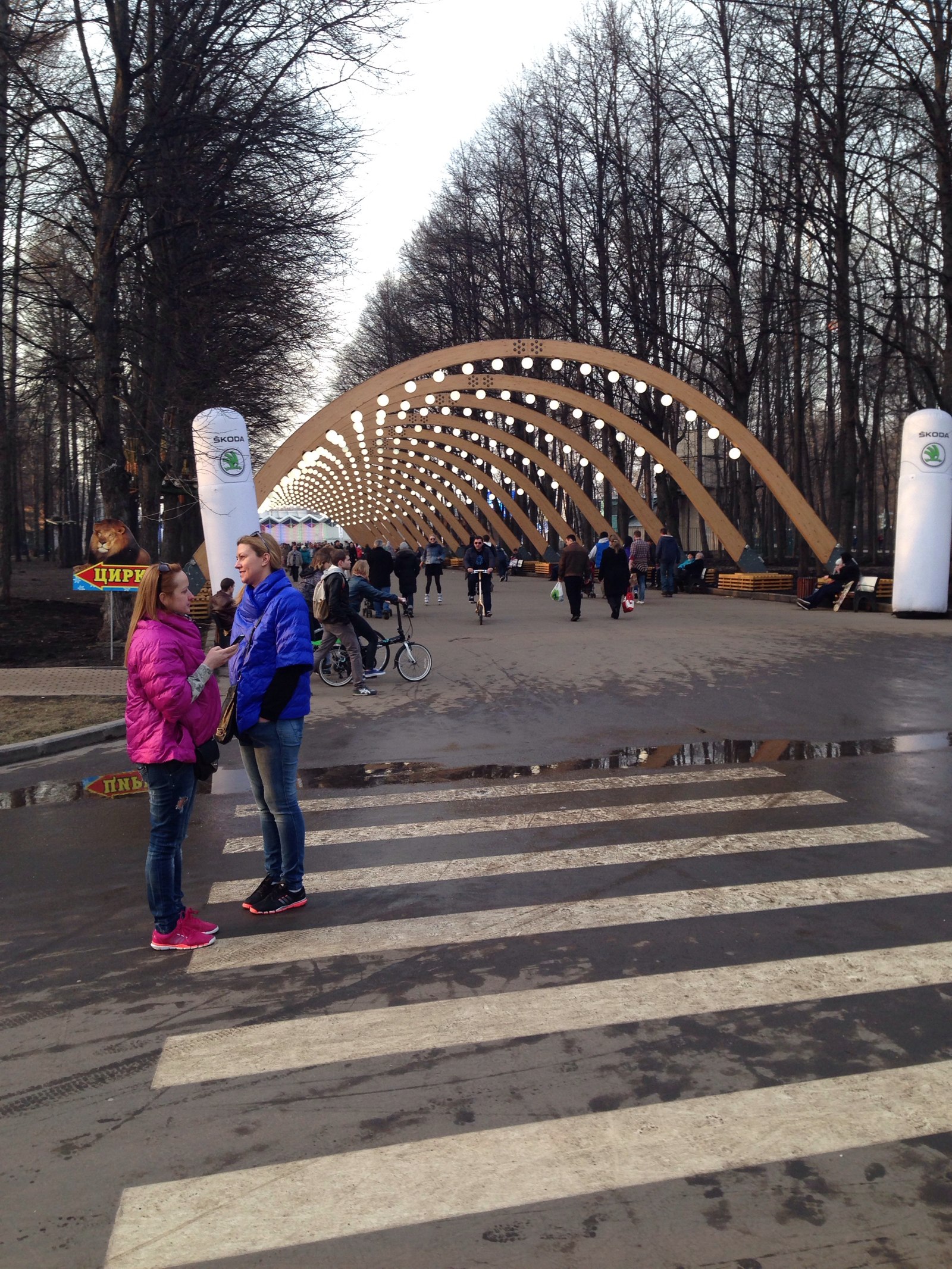 сокольнический парк москва