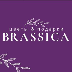 Brassica