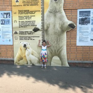 План зоопарка шило новосибирск