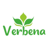 Verbena