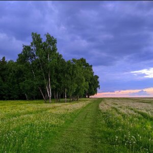 Валентина Петровна