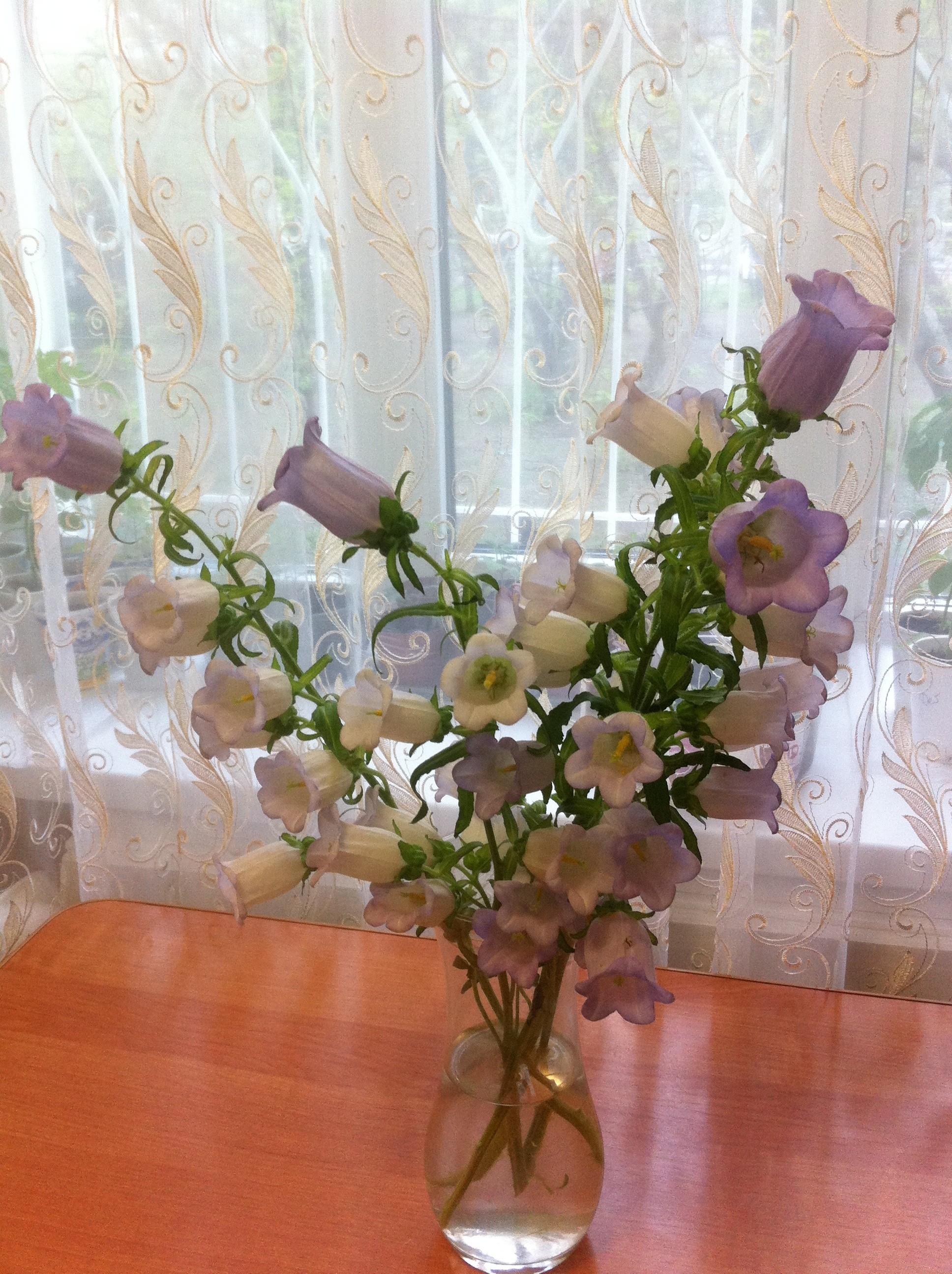 Колокольчики мама. La Rose Новосибирск цветы.