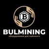 Bulmining