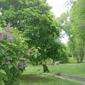 vitapetrova89