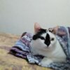 Евгения С