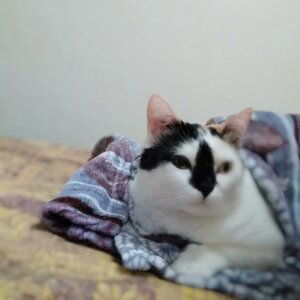 Евгения С