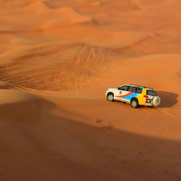 Пустынное сафари на Toyota Land Cruiser!