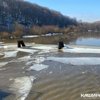 Маргарита