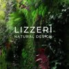 Lizzeri natural design