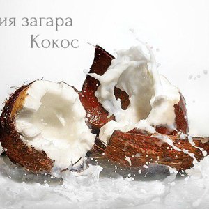 Пальма