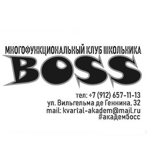 Boss. Стопгаджет