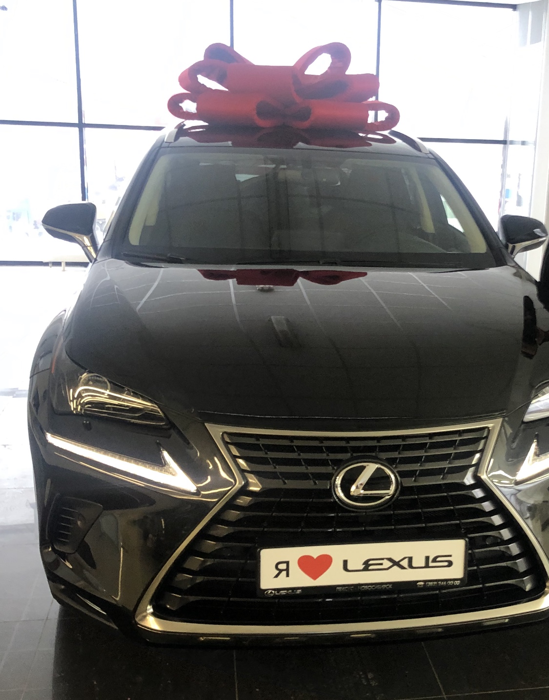 Восток моторс, официальный дилер Lexus в Новосибирске — отзыв и оценка —  Защищающий мглу