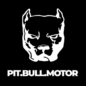 Pit Bull Motor