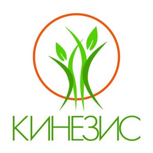 Кинезис