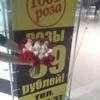 Тысяча и одна роза