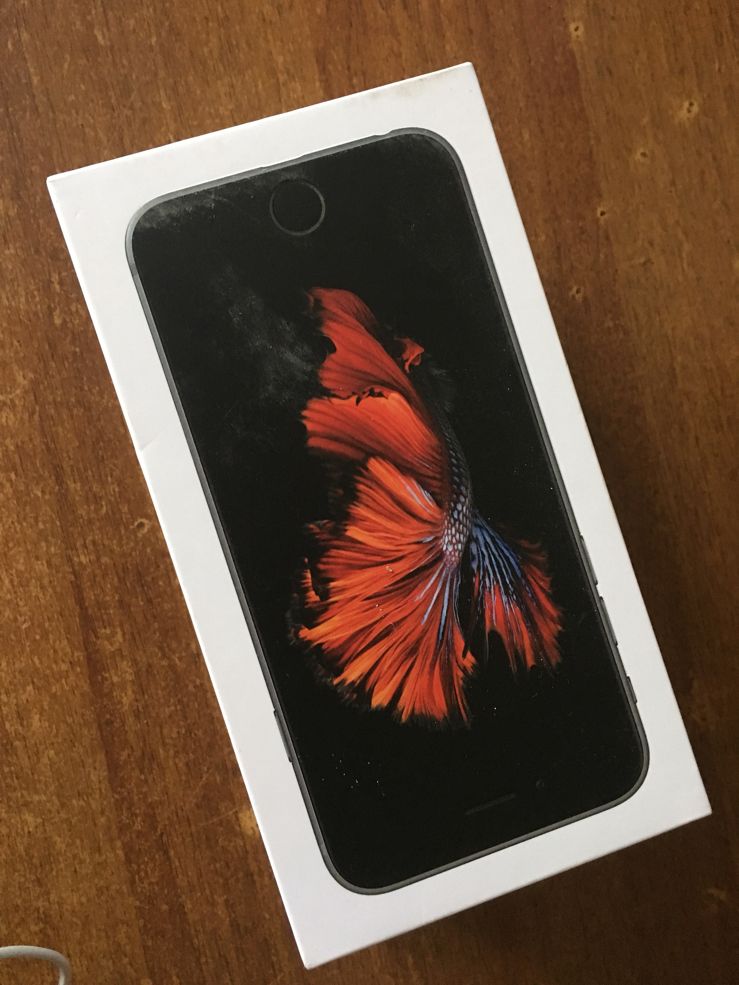 Ipavlik в екатеринбурге. АЙПАВЛИК. АЙПАВЛИК Apple Екатеринбург. АЙПАВЛИК 8 картинки.
