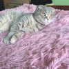 Маргарита