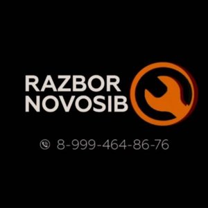 Razbor Novosib