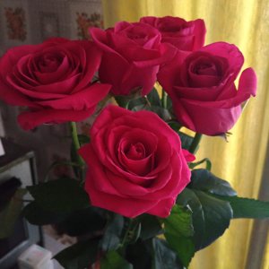 Букет Роз На Столе Фото