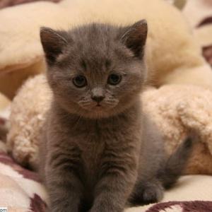 nsk.smirnova