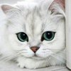 Жанетта Едрёнкина