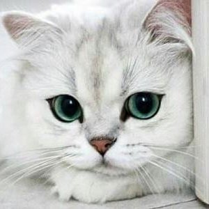 Жанетта Едрёнкина