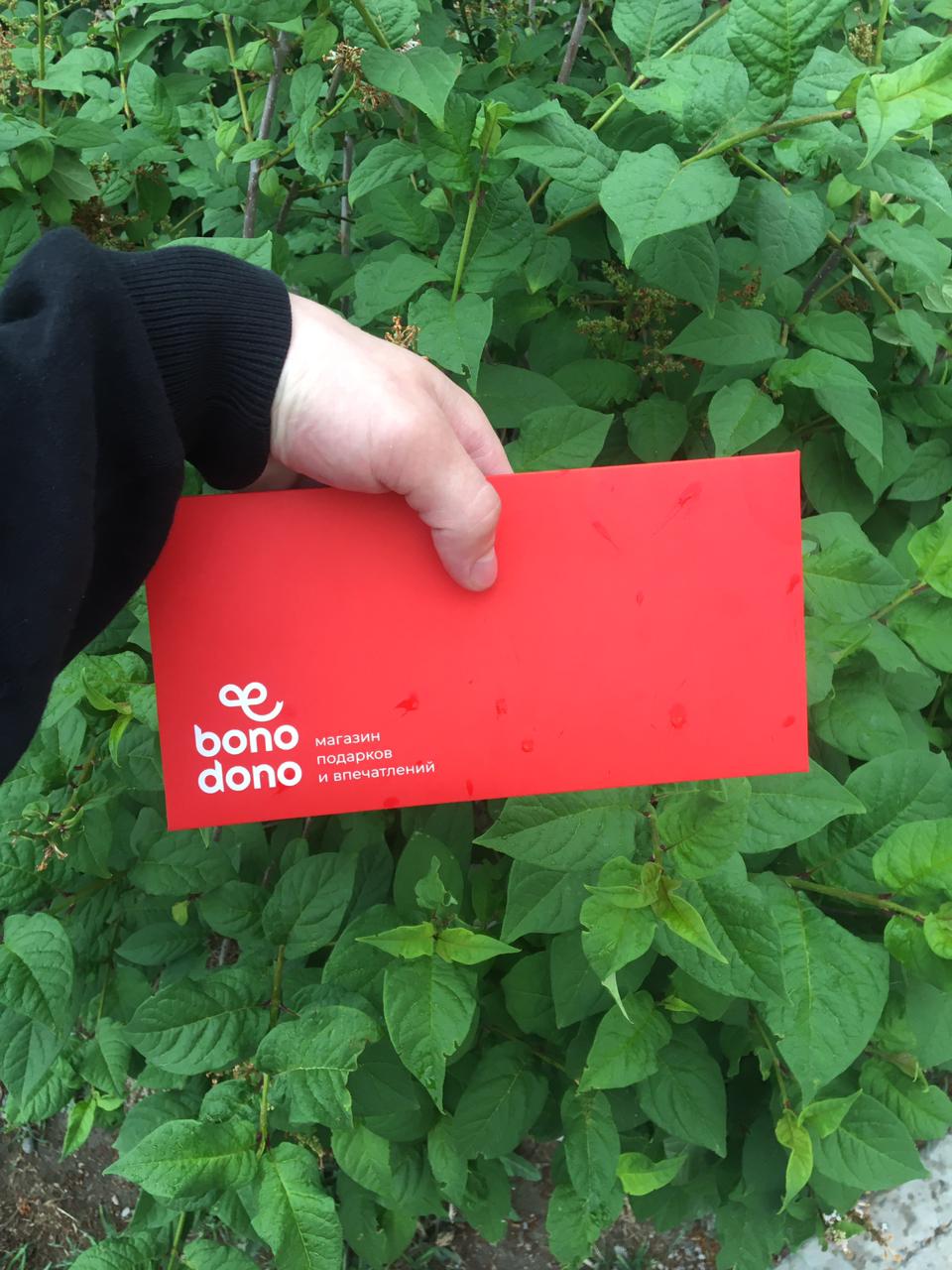 Bonodono. BONODONO Красноярск. БОНОДОНО Красноярск