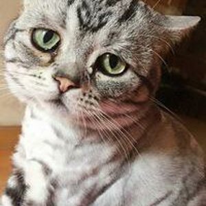 Виктория Исакова