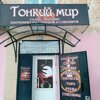 Тонкий мир