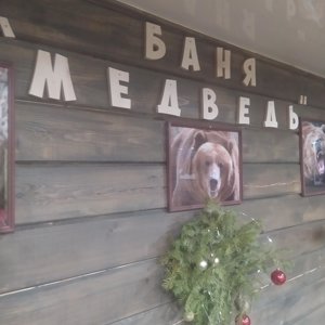 Медведь