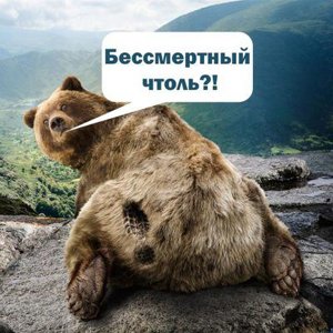 Венедикт Суровый