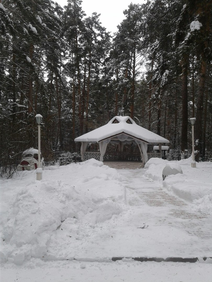 Комплекс хвоя новосибирск