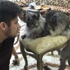 Ревизор